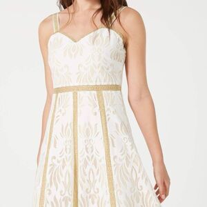 Anthropologie Foxiedox Metallic Gold Lace Overlay Eyelash Hem Lined Maxi Dress L